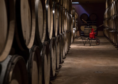Le domaine de la Famille Masse cultive de grand vin de bourgogne dans sa cave de Barizey. Des appellations de Givry, Cote chalonnaise, Mercurey, Montagny, St véran, Mâcon